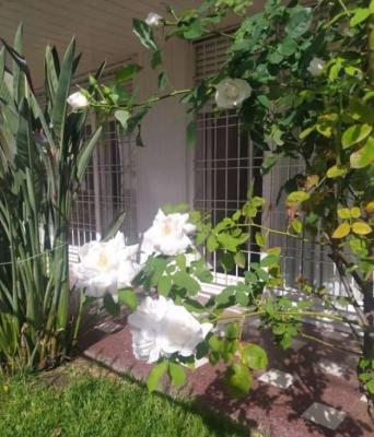 Casa en alquiler en Mar del Plata. 3 ambientes, 1 baño y capacidad de 2 a 4 personas. 