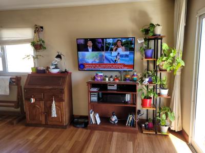 Departamento en alquiler en Mar del Plata. 2 ambientes, 2 baños y capacidad de 1 a 4 personas. 