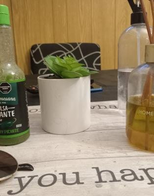 Departamento en alquiler en Mar del Plata. 2 ambientes, 1 ba&ntilde;o y capacidad de 1 a 4 personas. Cerca de la Playa