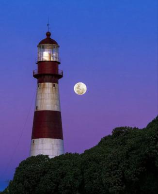 Casa en alquiler en Mar del Plata. 3 ambientes, 1 baño y capacidad de 1 a 7 personas. 